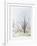 Paysage aux Arbres-Francis Saillart-Framed Limited Edition