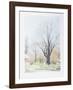 Paysage aux Arbres-Francis Saillart-Framed Limited Edition