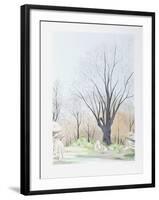 Paysage aux Arbres-Francis Saillart-Framed Limited Edition