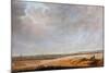 Paysage Aux Champs De Mais  (Landscape with Cornfields) Peinture De Salomon Jacobsz Van Ruisdael (-Salomon van Ruisdael or Ruysdael-Mounted Giclee Print