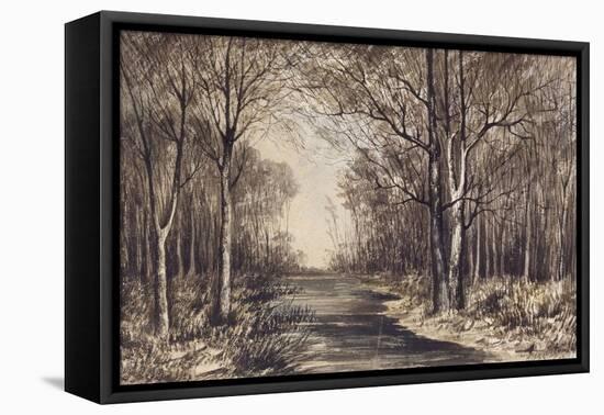 Paysage de lac entouré de forêt-null-Framed Stretched Canvas