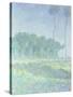 Paysage de Printemps, 1894-Claude Monet-Stretched Canvas