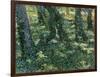 Paysage De Sous-Bois  (Undergrowth) Peinture De Vincent Van Gogh (1853-1890) 1889 Dim 73X92,5 Cm V-Vincent van Gogh-Framed Giclee Print