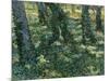 Paysage De Sous-Bois  (Undergrowth) Peinture De Vincent Van Gogh (1853-1890) 1889 Dim 73X92,5 Cm V-Vincent van Gogh-Mounted Giclee Print