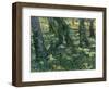 Paysage De Sous-Bois  (Undergrowth) Peinture De Vincent Van Gogh (1853-1890) 1889 Dim 73X92,5 Cm V-Vincent van Gogh-Framed Giclee Print