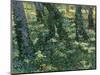 Paysage De Sous-Bois  (Undergrowth) Peinture De Vincent Van Gogh (1853-1890) 1889 Dim 73X92,5 Cm V-Vincent van Gogh-Mounted Giclee Print