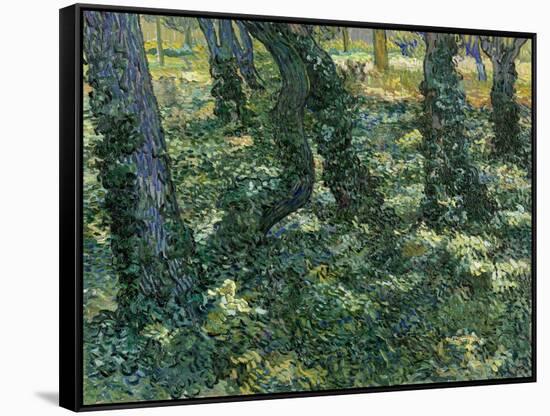 Paysage De Sous-Bois  (Undergrowth) Peinture De Vincent Van Gogh (1853-1890) 1889 Dim 73X92,5 Cm V-Vincent van Gogh-Framed Stretched Canvas