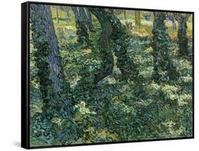 Paysage De Sous-Bois  (Undergrowth) Peinture De Vincent Van Gogh (1853-1890) 1889 Dim 73X92,5 Cm V-Vincent van Gogh-Framed Stretched Canvas