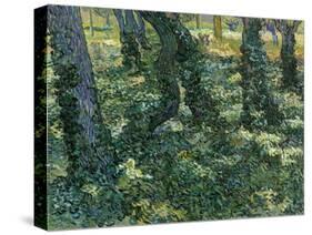 Paysage De Sous-Bois  (Undergrowth) Peinture De Vincent Van Gogh (1853-1890) 1889 Dim 73X92,5 Cm V-Vincent van Gogh-Stretched Canvas