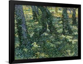 Paysage De Sous-Bois  (Undergrowth) Peinture De Vincent Van Gogh (1853-1890) 1889 Dim 73X92,5 Cm V-Vincent van Gogh-Framed Giclee Print