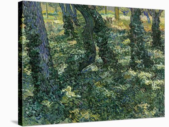 Paysage De Sous-Bois  (Undergrowth) Peinture De Vincent Van Gogh (1853-1890) 1889 Dim 73X92,5 Cm V-Vincent van Gogh-Stretched Canvas