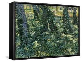 Paysage De Sous-Bois  (Undergrowth) Peinture De Vincent Van Gogh (1853-1890) 1889 Dim 73X92,5 Cm V-Vincent van Gogh-Framed Stretched Canvas