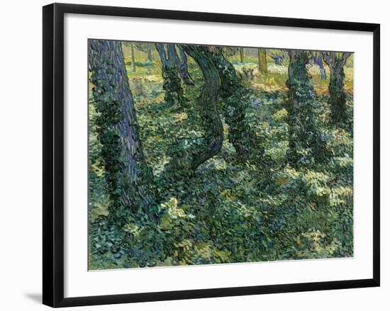 Paysage De Sous-Bois  (Undergrowth) Peinture De Vincent Van Gogh (1853-1890) 1889 Dim 73X92,5 Cm V-Vincent van Gogh-Framed Giclee Print