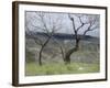 Paysage des Abruzzes-Francesco Paolo Michetti-Framed Giclee Print