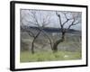 Paysage des Abruzzes-Francesco Paolo Michetti-Framed Giclee Print