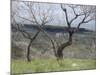 Paysage des Abruzzes-Francesco Paolo Michetti-Mounted Giclee Print