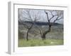 Paysage des Abruzzes-Francesco Paolo Michetti-Framed Giclee Print