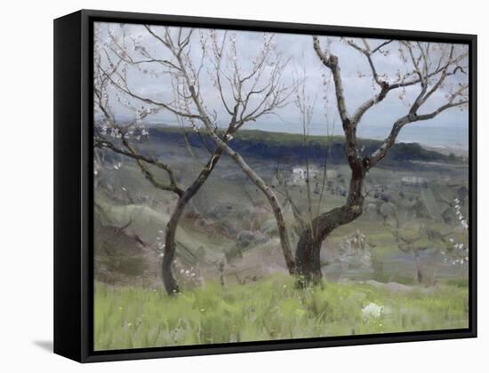 Paysage des Abruzzes-Francesco Paolo Michetti-Framed Stretched Canvas