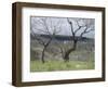 Paysage des Abruzzes-Francesco Paolo Michetti-Framed Giclee Print