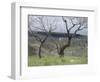 Paysage des Abruzzes-Francesco Paolo Michetti-Framed Giclee Print