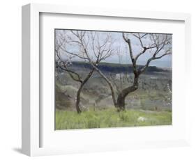 Paysage des Abruzzes-Francesco Paolo Michetti-Framed Giclee Print