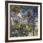 Paysage Du Midi, C.1920-1922-Théo van Rysselberghe-Framed Giclee Print