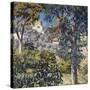 Paysage Du Midi, C.1920-1922-Théo van Rysselberghe-Stretched Canvas