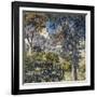 Paysage du Midi-Theo Rysselberghe-Framed Giclee Print