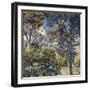 Paysage du Midi-Theo Rysselberghe-Framed Giclee Print