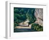 Paysage, Route Avec Arbres Dans Les Montagnes Rocheuses  (Landscape, Road with Trees in Rocky Moun-Paul Cezanne-Framed Giclee Print