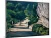 Paysage, Route Avec Arbres Dans Les Montagnes Rocheuses  (Landscape, Road with Trees in Rocky Moun-Paul Cezanne-Mounted Giclee Print