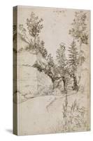 Paysage ; route bordée de rochers abrupts et d'arbres près de Nuremberg-Albrecht Dürer-Stretched Canvas