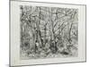 Paysage Sous Bois, À L'Hermitage (Pontoise), 1879-Camille Pissarro-Mounted Giclee Print