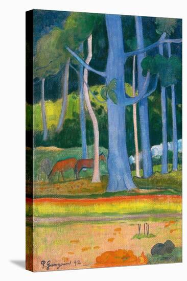 Paysage with Blue Trunks (Paysage aux troncs bleus). 1892-Paul Gauguin-Stretched Canvas