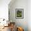 Paysage-Paul Gauguin-Framed Giclee Print displayed on a wall