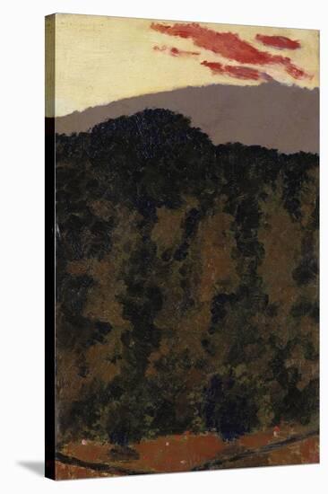 Paysage-Edouard Vuillard-Stretched Canvas