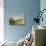 Paysage-Alfred Sisley-Stretched Canvas displayed on a wall