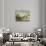 Paysage-Alfred Sisley-Giclee Print displayed on a wall