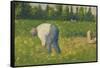 Paysan Travaillant, 1883-Georges Seurat-Framed Stretched Canvas