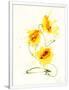 Gramercy White