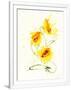 Gramercy White