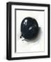 Chelsea Black