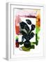 White Frame