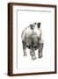 Brown Frame
