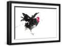 Black Frame