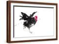 Brown Frame