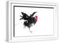 White Frame