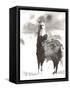Canvas Black