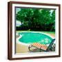 Brown Frame