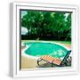 White Frame